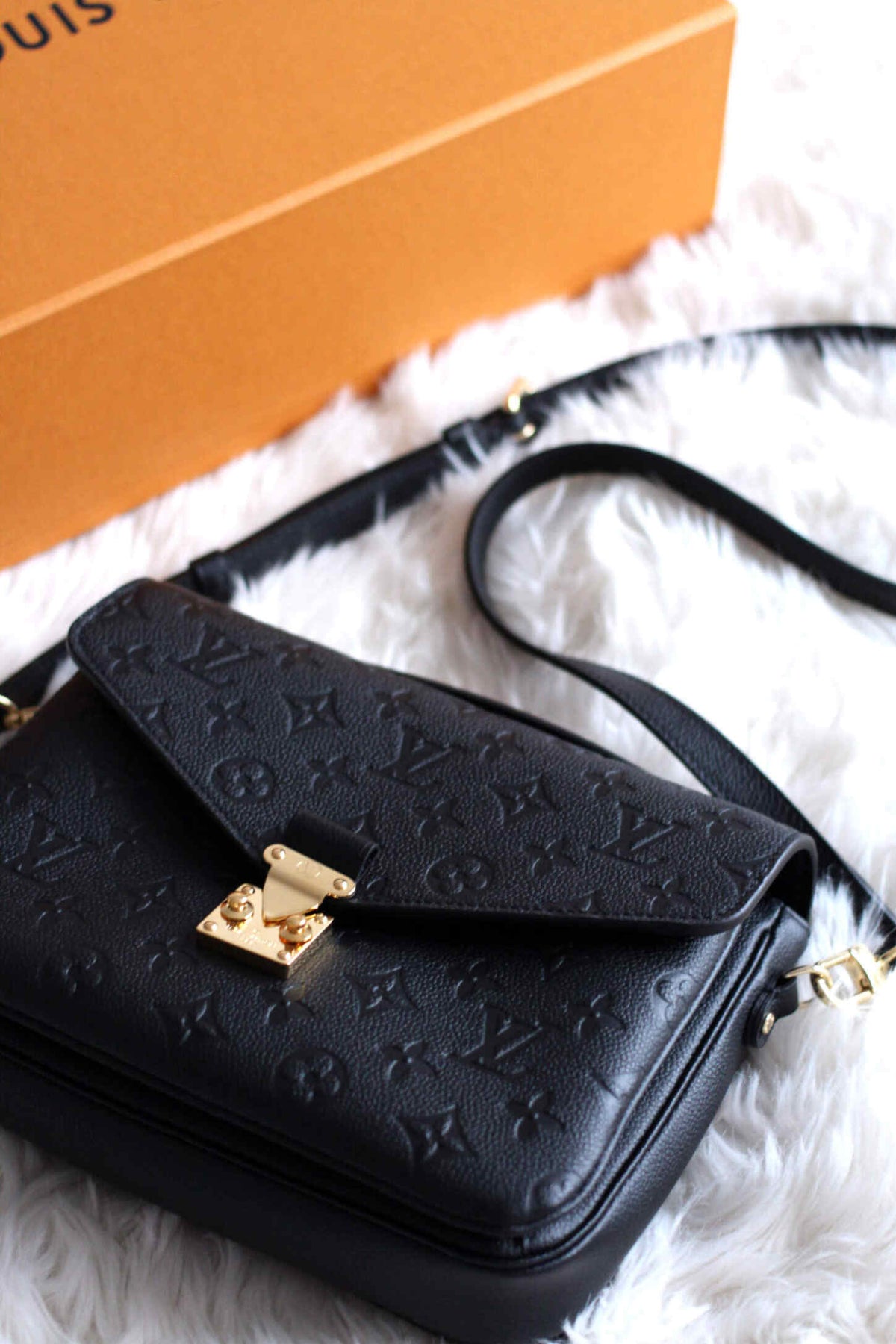 Louis Vuitton Pochette Metis Bag